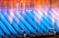 Trecwn gas fired boilers